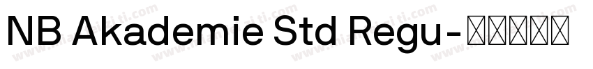 NB Akademie Std Regu字体转换